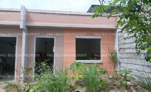 fil8820250203006