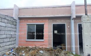 fil8820250203019