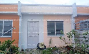 fil8820250203027