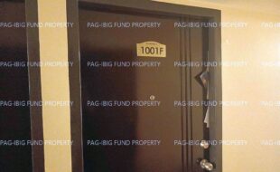 fil8820250402010