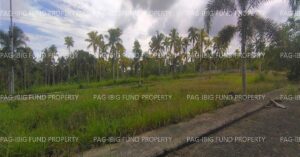 Pag-IBIG ROPA # 888202406130002 - Lot 2 Blk. 25 ISLAND HILLS VILLAGE RESORT - STO NINO SANTO NINO, ISLAND GARDEN CITY OF SAMAL, DAVAO DEL NORTE, 8119 - Negotiated Sale on Jun. 22, 2026 - Jun. 26, 2026