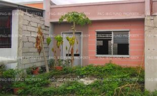 fil8820251127104