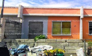 fil8820260203006