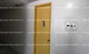 fil8820260212023
