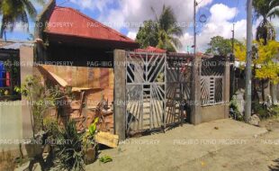 fil8820260324008