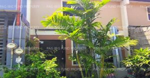 Pag-IBIG Bidding: 1st Auction Listings 2026 (Get First Dibs With These Newly Listed Foreclosed Properties) 21 Pag-IBIG ROPA # 888202512090003 - Lot 29 Blk. 140 DECA HOMES TALOMO BAGO GALLERA, DAVAO CITY, DAVAO DEL SUR, 8000 - 1st Public Auction on Jun. 22, 2026 - Jun. 26, 2026 (Occupied)