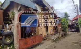 centralvisayas item03