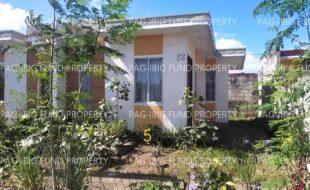 fil1520211028453