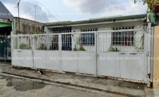 fil1520220614174