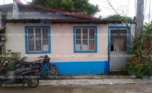 fil1520221124056