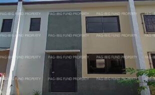 fil1520221221287