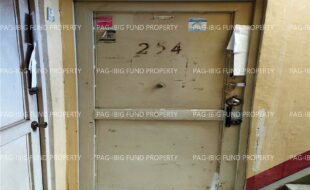 fil1520230208746