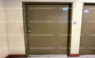 fil1520230522019