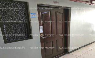 fil1520230608112