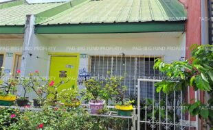 fil1520230608177