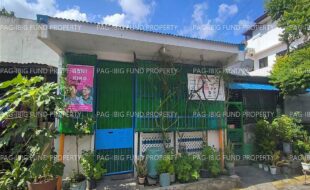 fil1520230817065