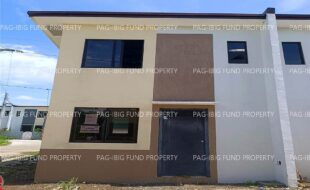 fil1520230830242