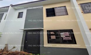 fil1520231005761