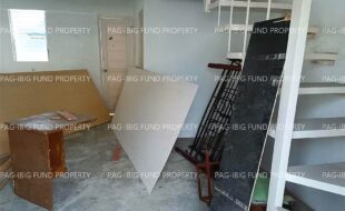 fil1520231031674