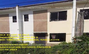 fil1520231107624