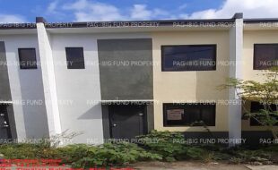 fil1520231206412