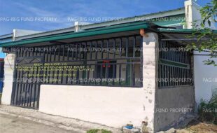 fil1520240104105