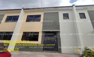 fil1520240111025