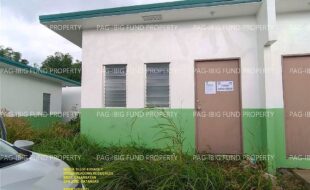 fil1520240113083
