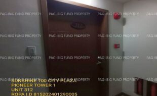 fil1520240208119