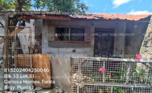 fil1520240507154