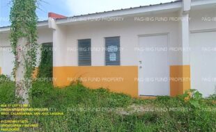 fil1520240615022