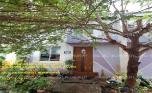 fil1520240715196