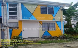 fil1520240715339