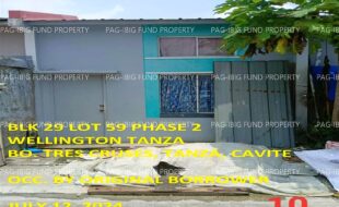 fil1520240715618