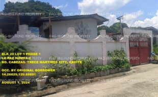 fil1520240802256