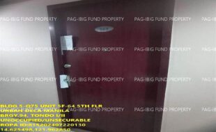 fil1520240812238