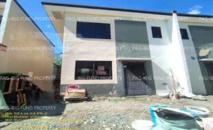 fil1520240816305