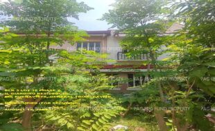 fil1520240819455