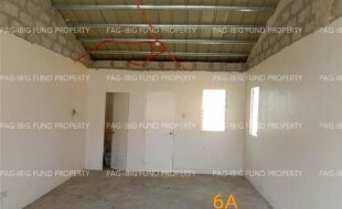 fil1520240822610