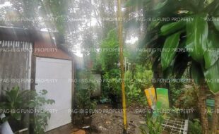fil1520240824426