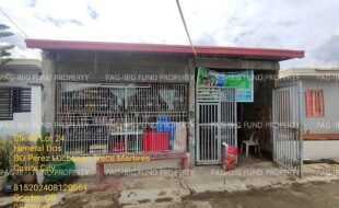 fil1520240829349