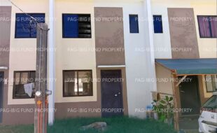 fil1520240831104