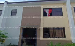 fil1520240831114