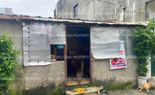 fil1520240904521