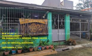 fil1520240905451