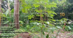 Pag-IBIG ROPA # 801519092400229 - Lot 2-E-2-H-3-A NON SUBDIVISION MAYAPA, CITY OF CALAMBA, LAGUNA, 4027 - Negotiated Sale on Jul. 27, 2026 - Jul. 31, 2026