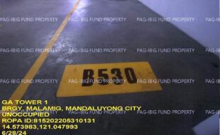 fil1520240927193