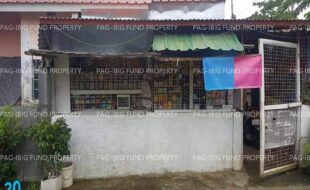 fil1520241001214