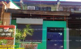 fil1520241001936
