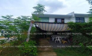 fil1520241002701